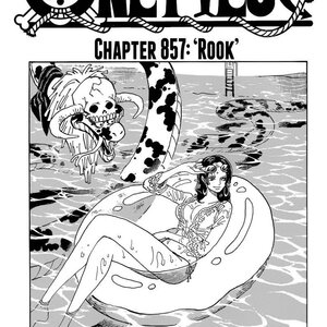 One Piece Manga Chapter 857 Read Manga Online Free